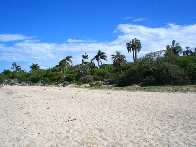 Laguna Negra