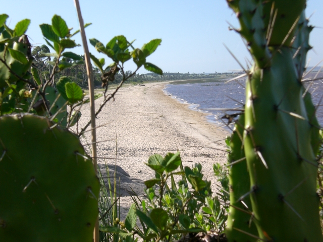 Laguna Negra