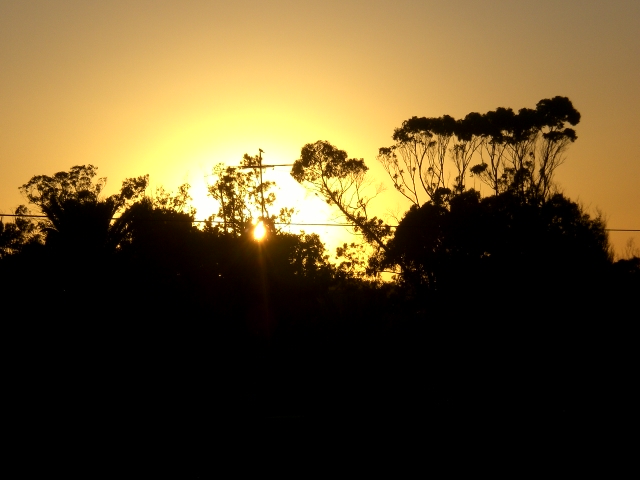 Sonnenaufgang - Salida del sol